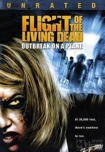 死亡航班手机在线观看,手机在线惊悚揭秘  第2张