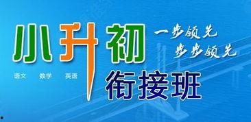 茂名小升初爆料新闻,内幕揭秘，家长焦虑背后的真相